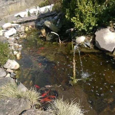 Adolphs Fruehstueckspension Bad Staffelstein Dış mekan fotoğraf